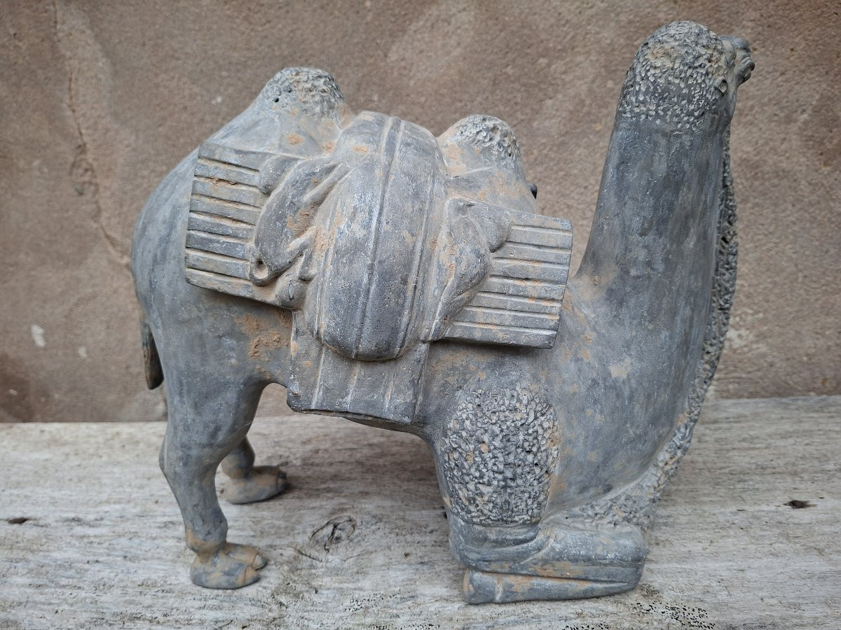 Chinese Terracotta Sculpture Of A Camel, China, Northern Wei Dynasty-photo-1