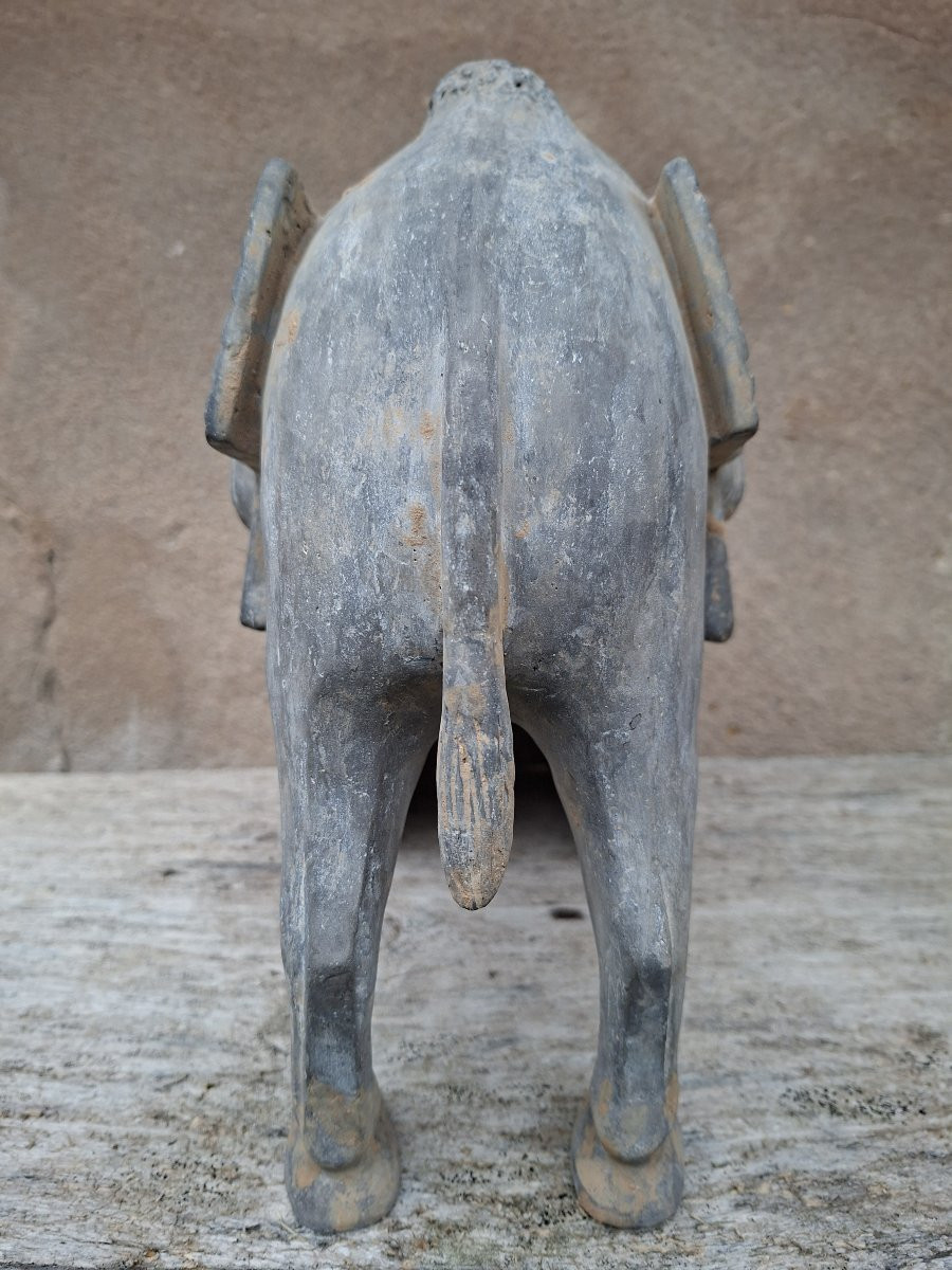 Chinese Terracotta Sculpture Of A Camel, China, Northern Wei Dynasty-photo-3