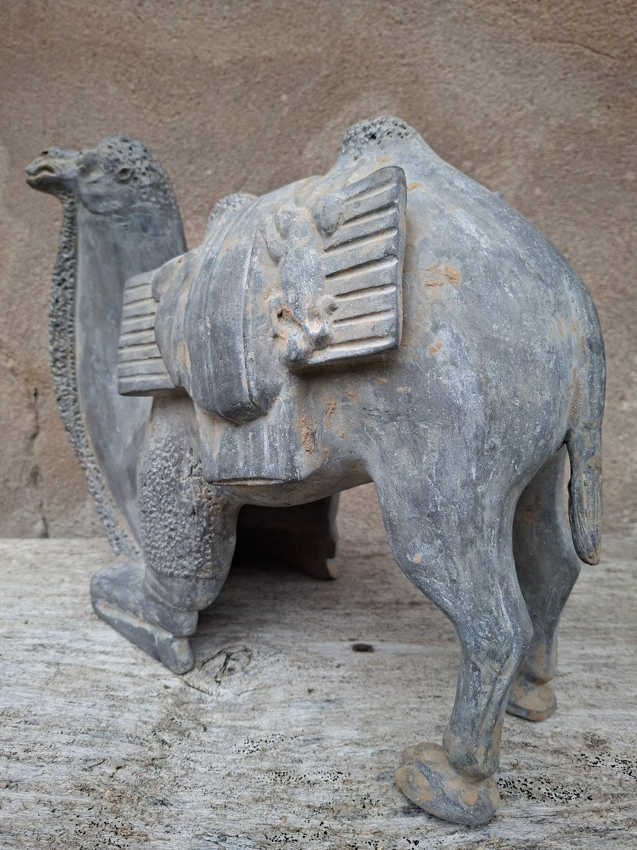Chinese Terracotta Sculpture Of A Camel, China, Northern Wei Dynasty-photo-4