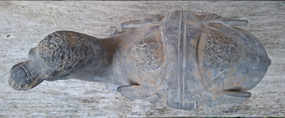 Chinese Terracotta Sculpture Of A Camel, China, Northern Wei Dynasty-photo-6
