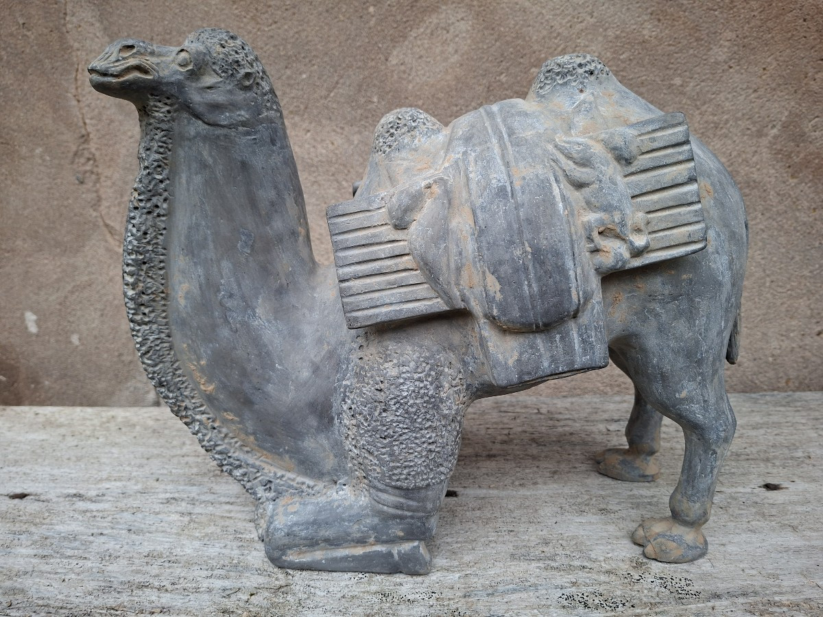 Chinese Terracotta Sculpture Of A Camel, China, Northern Wei Dynasty