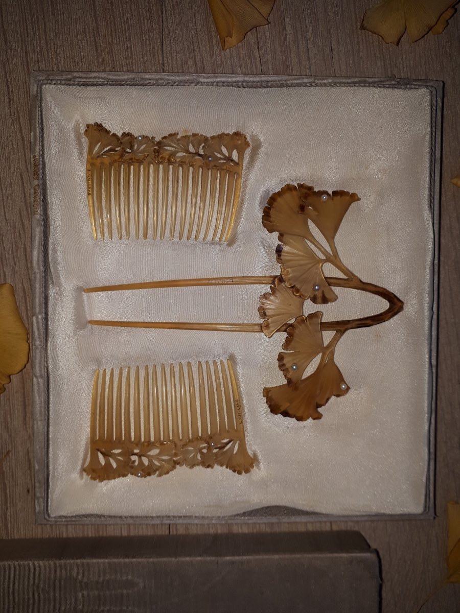 Box With 3 Combs Lucien Gaillard, Contemporary By René Lalique-photo-3