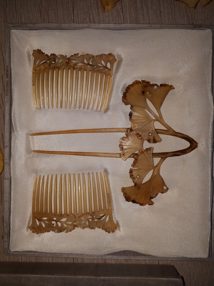 Box With 3 Combs Lucien Gaillard, Contemporary By René Lalique-photo-4