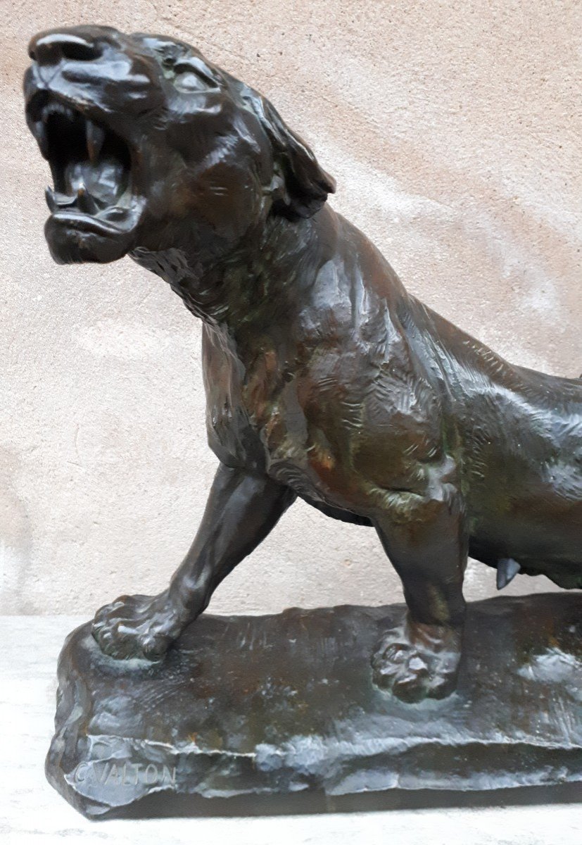 Grande sculpture en bronze (68 cm) d'une lionne blessée, par Charles Valton, France XIXe-photo-2