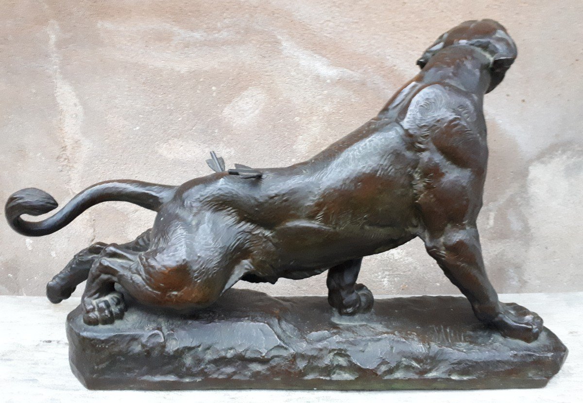 Grande sculpture en bronze (68 cm) d'une lionne blessée, par Charles Valton, France XIXe-photo-2