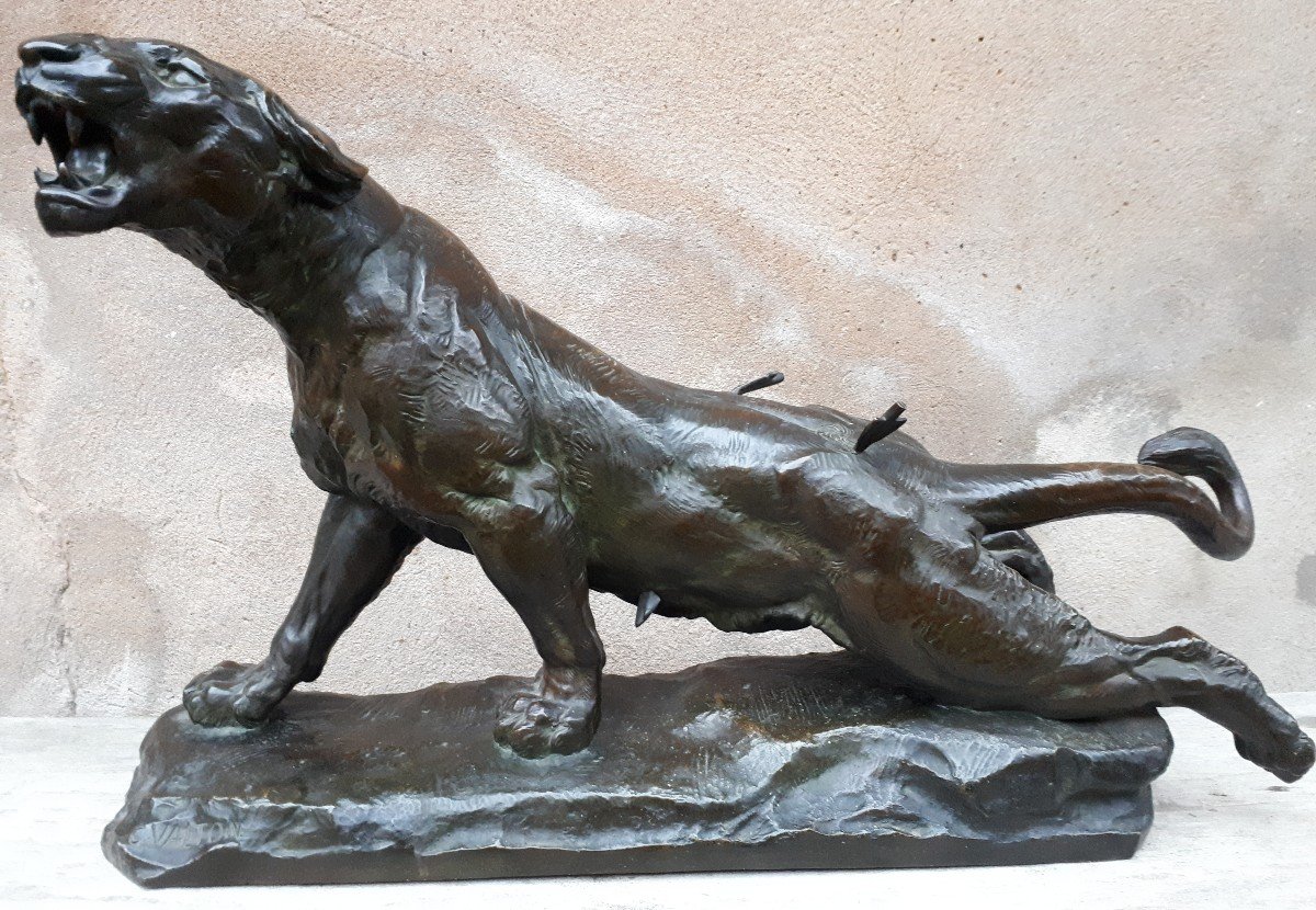 Grande sculpture en bronze (68 cm) d'une lionne blessée, par Charles Valton, France XIXe