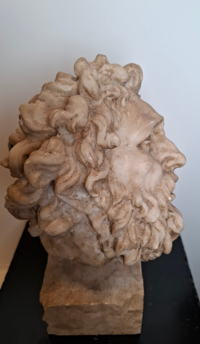 Sculpture tête de Laocoon -photo-4