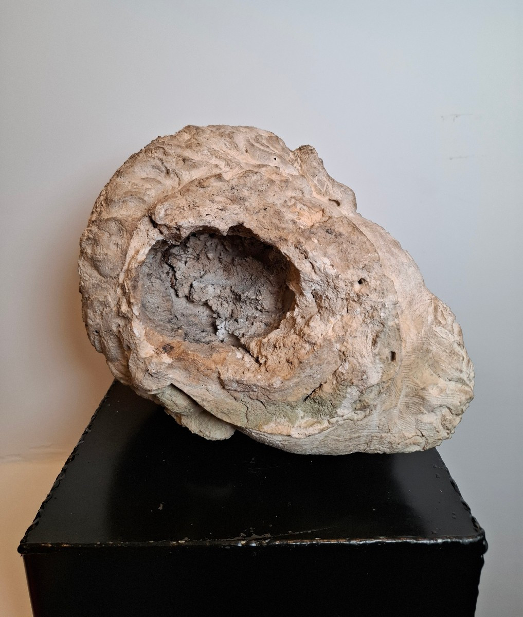 Sculpture du visage d'un homme à l'antique-photo-1