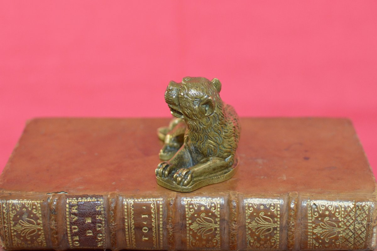 Renaissance Style Bronze Statuette - Breastfeeding Lioness - 19th Century 19-photo-1