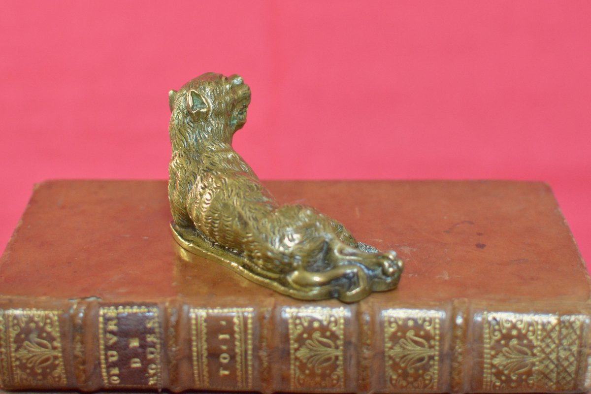 Renaissance Style Bronze Statuette - Breastfeeding Lioness - 19th Century 19-photo-2