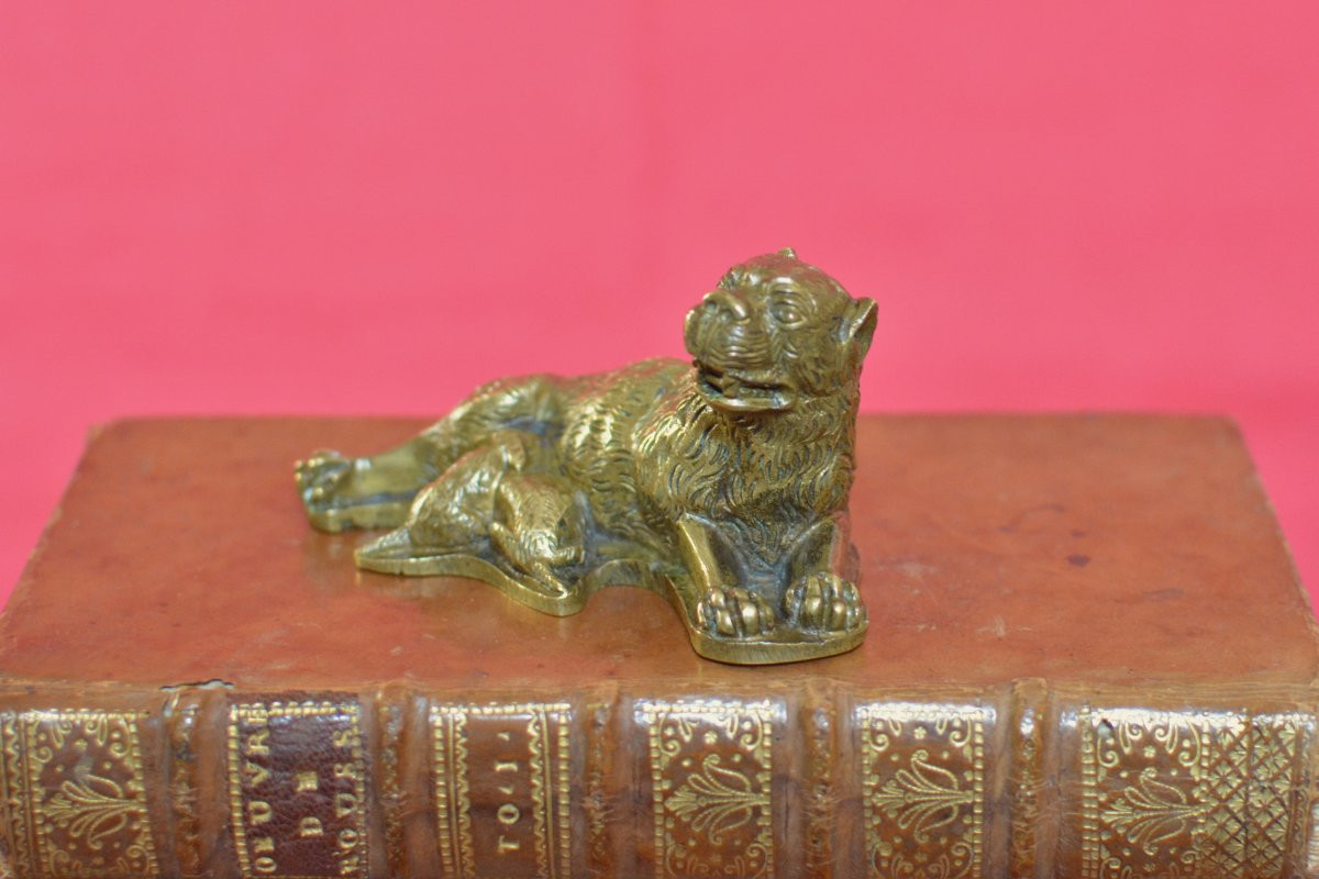 Renaissance Style Bronze Statuette - Breastfeeding Lioness - 19th Century 19-photo-3