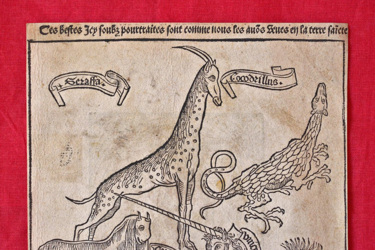 Gravure sur Bois Incunable - Peregrinatio in Terram Sanctam - XVe 15e siècle - Animaux Licorne-photo-3