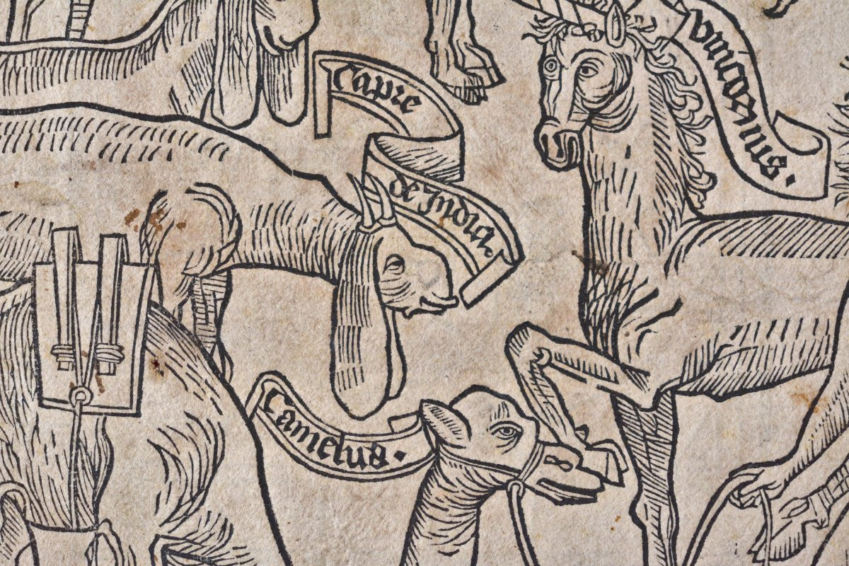 Gravure sur Bois Incunable - Peregrinatio in Terram Sanctam - XVe 15e siècle - Animaux Licorne-photo-2