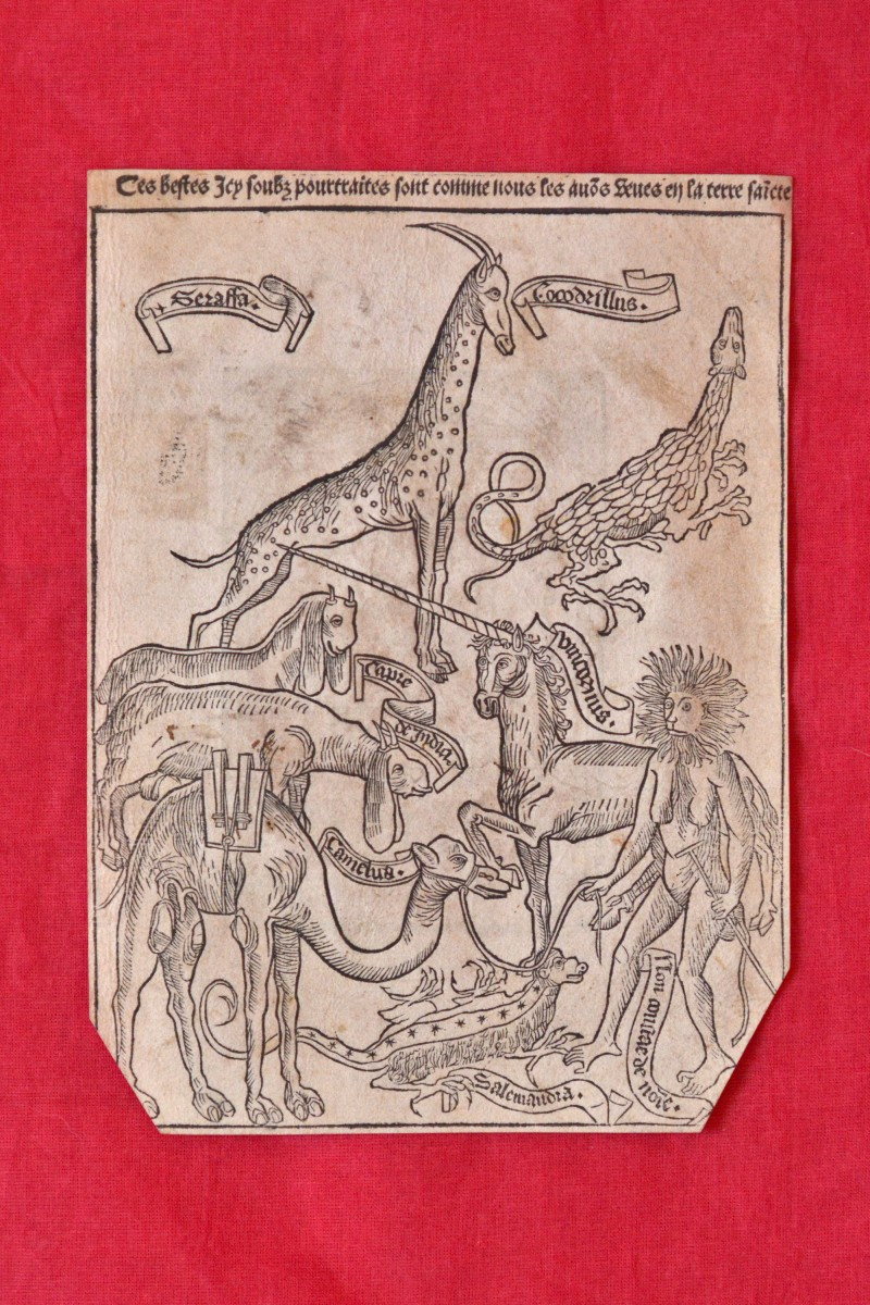 Gravure sur Bois Incunable - Peregrinatio in Terram Sanctam - XVe 15e siècle - Animaux Licorne