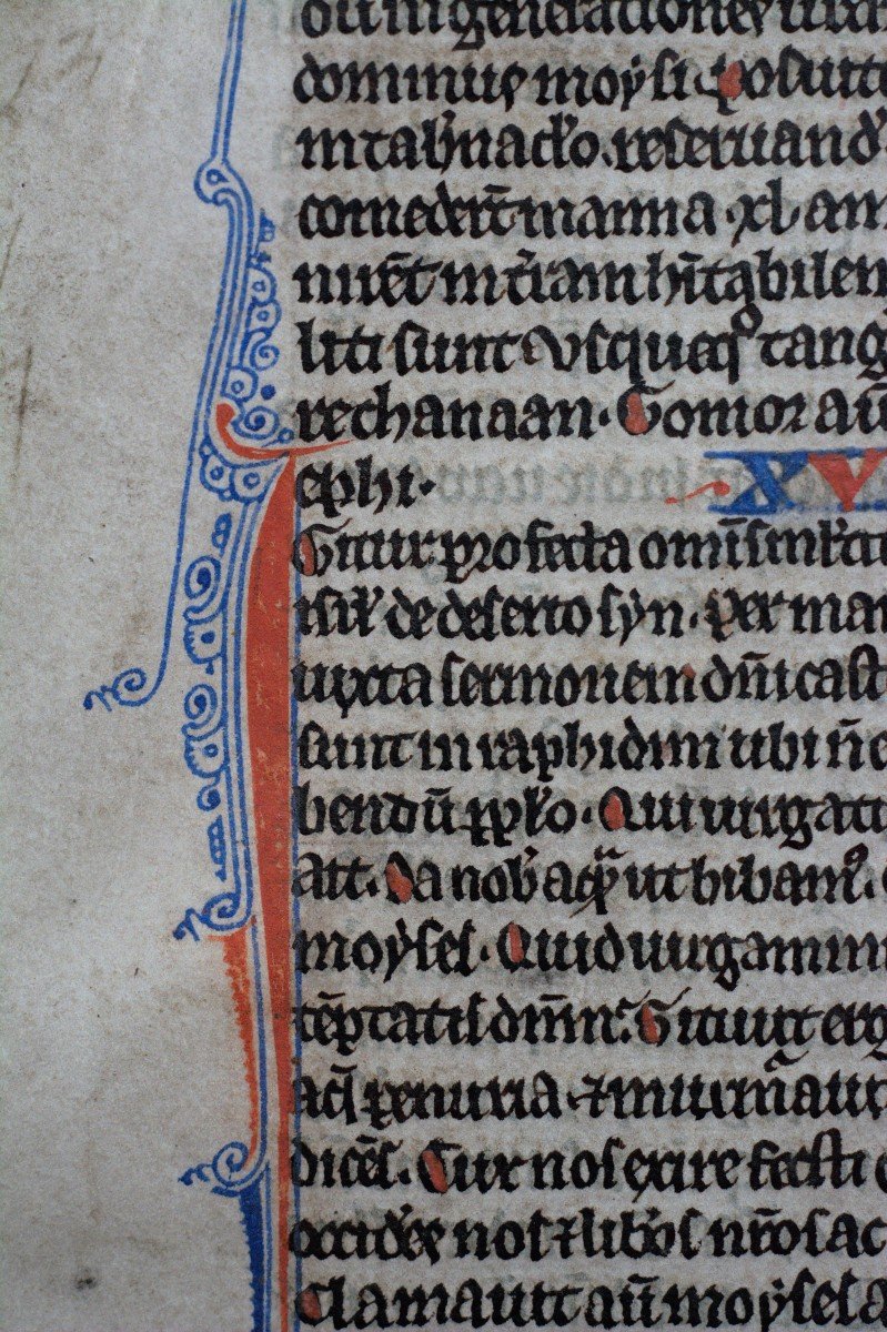 Pocket Bible Leaf On Vellum - 13th Century-photo-4