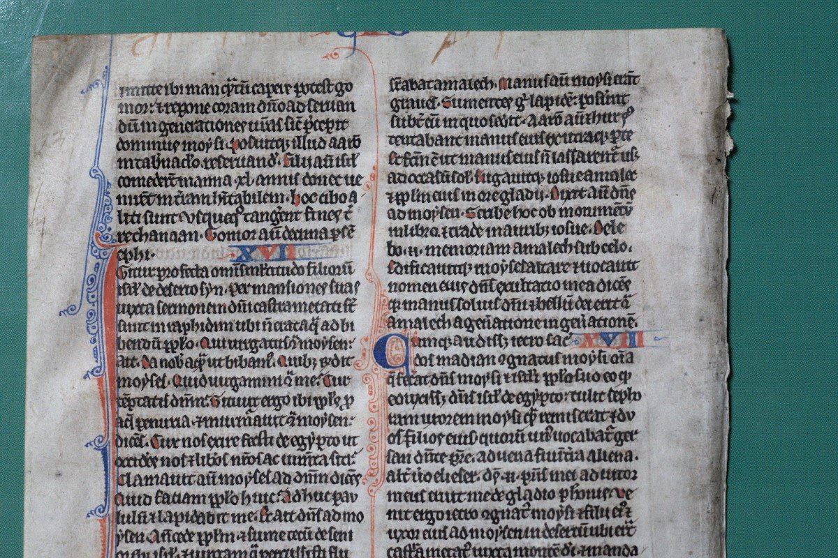 Pocket Bible Leaf On Vellum - 13th Century-photo-2