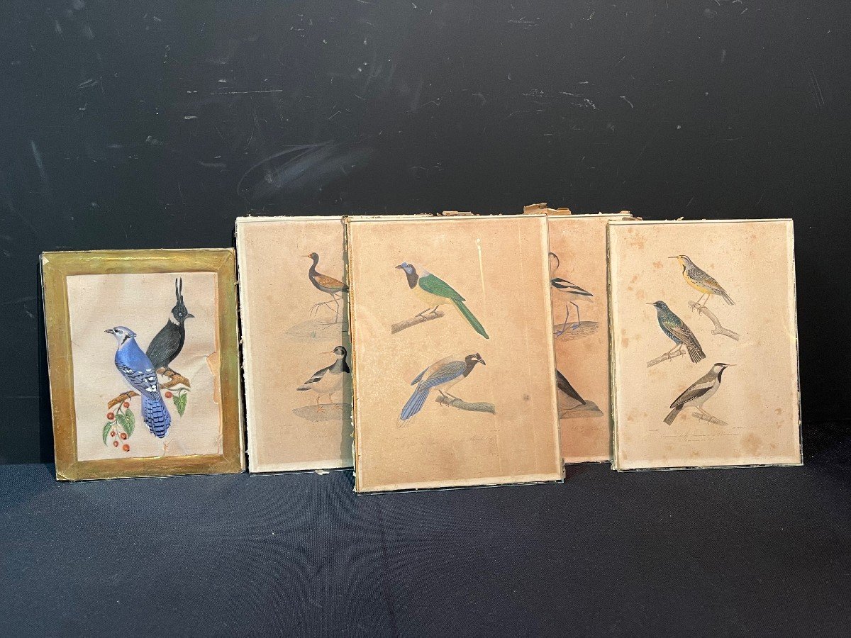 Series Of 5 Pichpin Frames With Engravings-photo-3