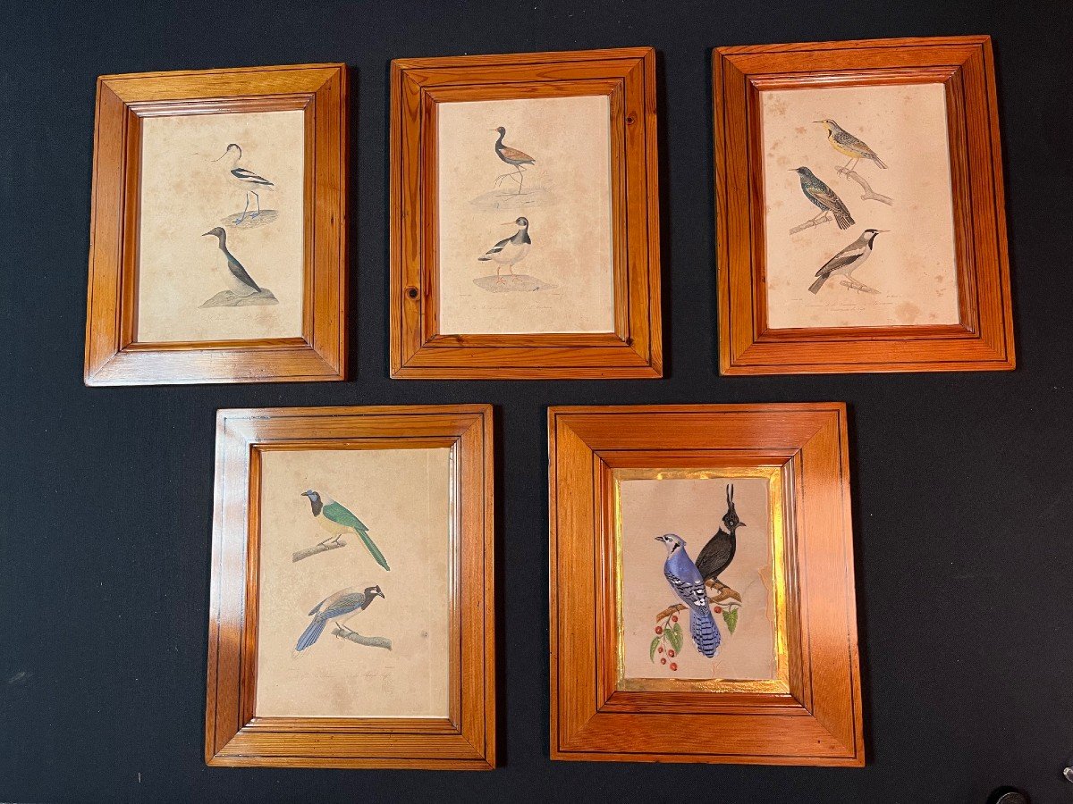 Series Of 5 Pichpin Frames With Engravings-photo-8