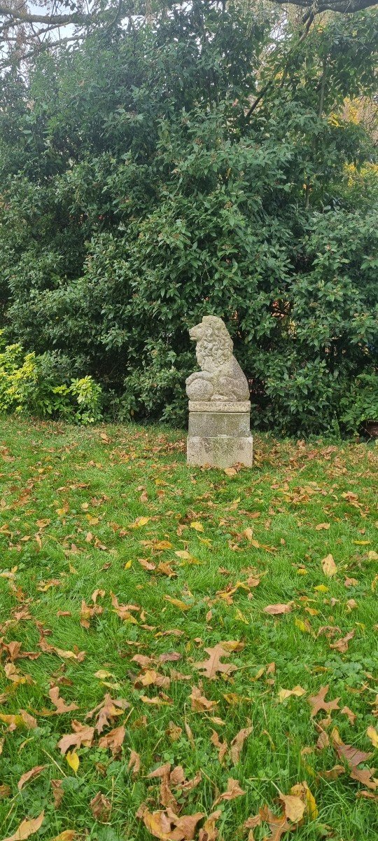 Lion Sur Socle En Pierre-photo-3