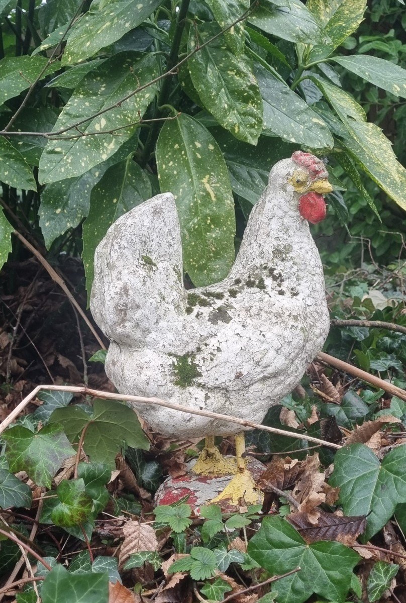 Cement Hen ...garden Decoration-photo-3