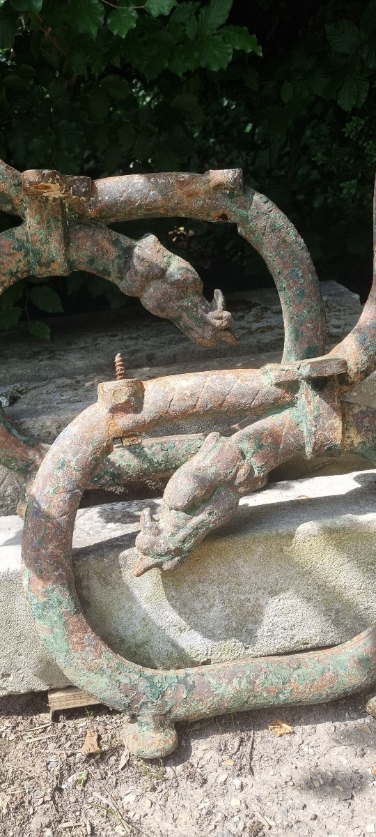 Banc aux Serpents de mer....Val d'Osne