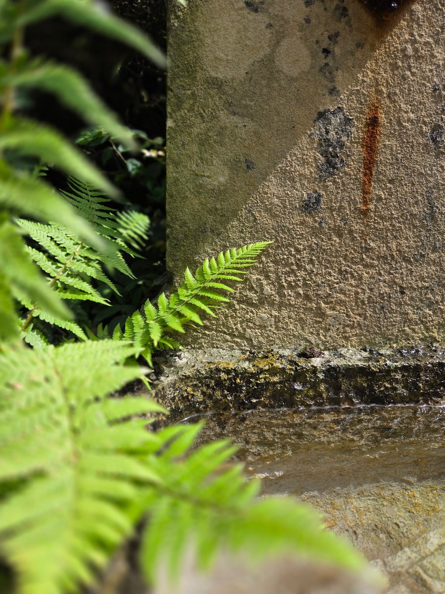 Fontaine de Jardin en Pierre ...-photo-1