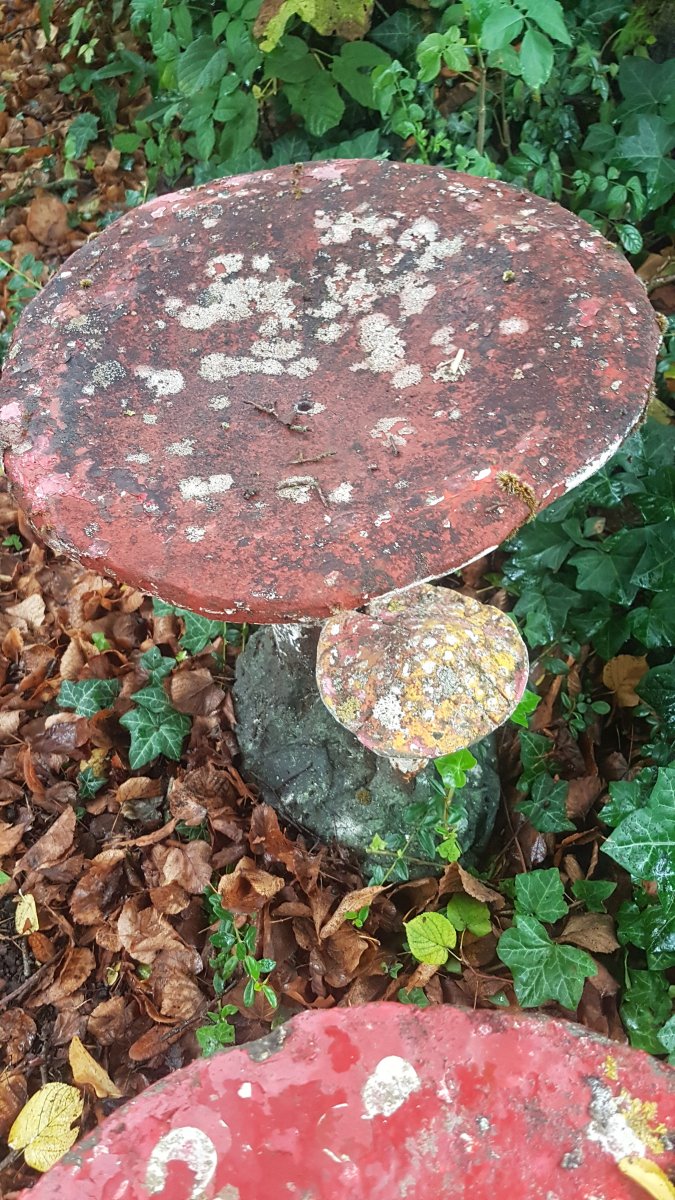 Champignon En Béton....vers 1950-photo-3