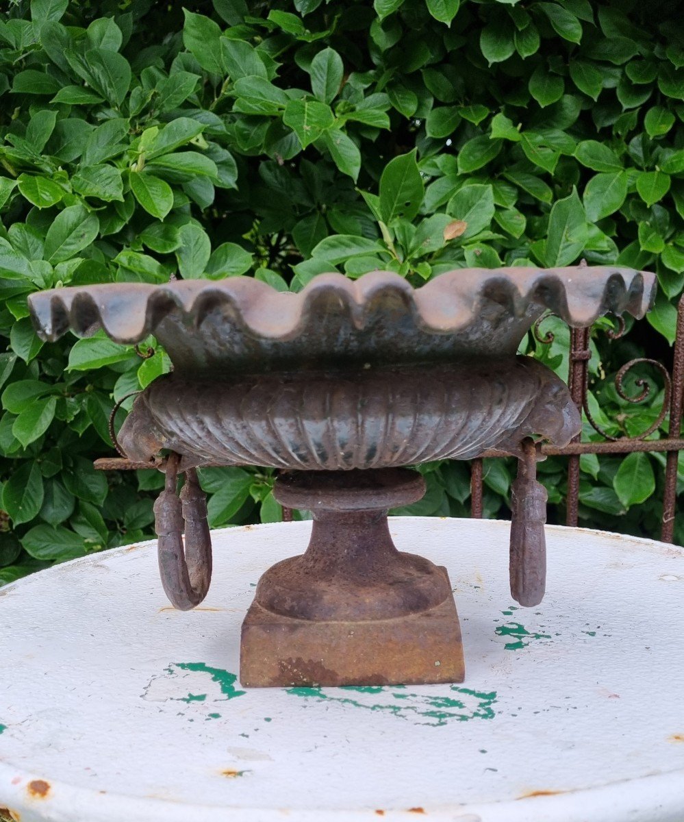 Vasque Aux Lions...-photo-3