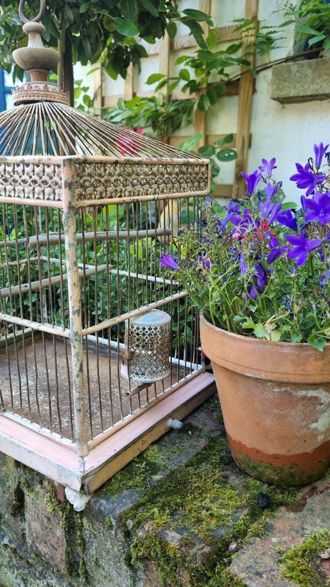 Charmante Cage à Oiseaux d'époque Napoleon III-photo-4