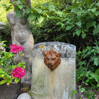 Premiere-Image-1791711