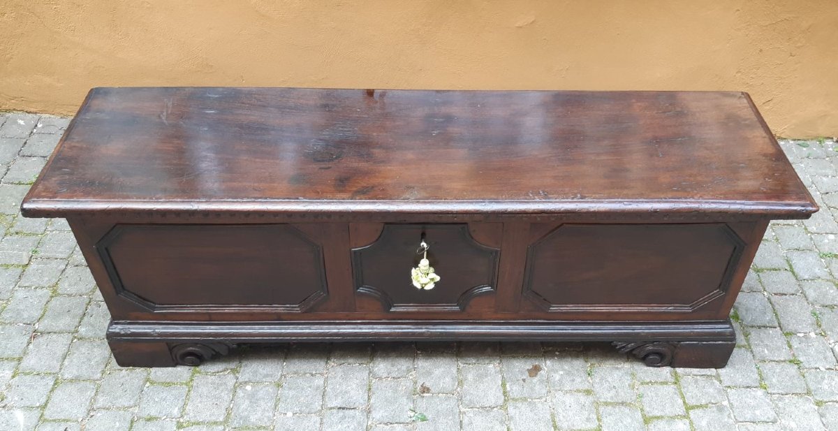 Antique 17th Century Emilian Walnut Chest-photo-7
