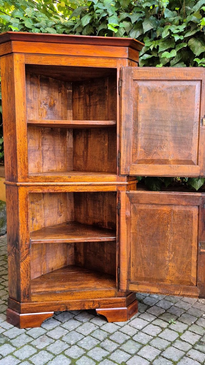 Antique Corner Cabinet In Rolo Walnut With Fillets-photo-3