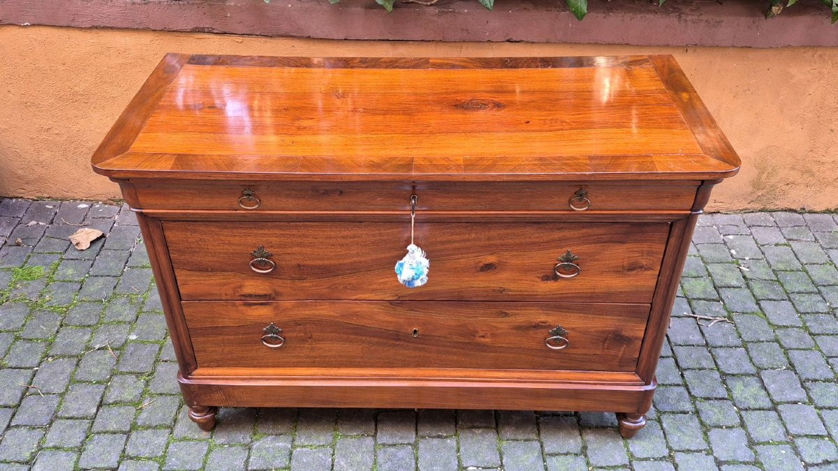 Commode cappuccino ancienne en noyer avec rainure-photo-2