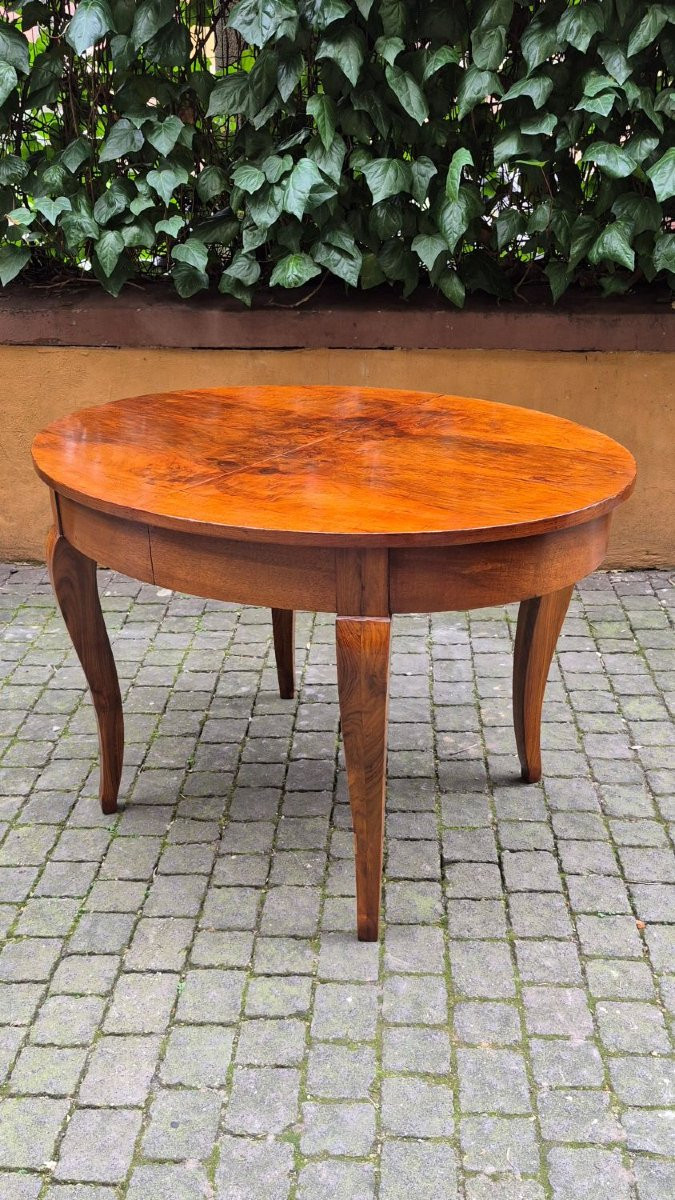 Table ovale extensible ancienne en loupe de noyer-photo-4