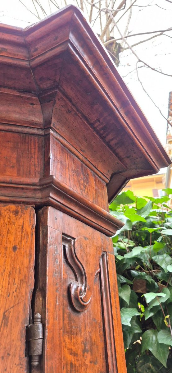 Armoire ancienne de Parme du XVIIe siècle en noyer à panneaux et à aspect rustique-photo-3