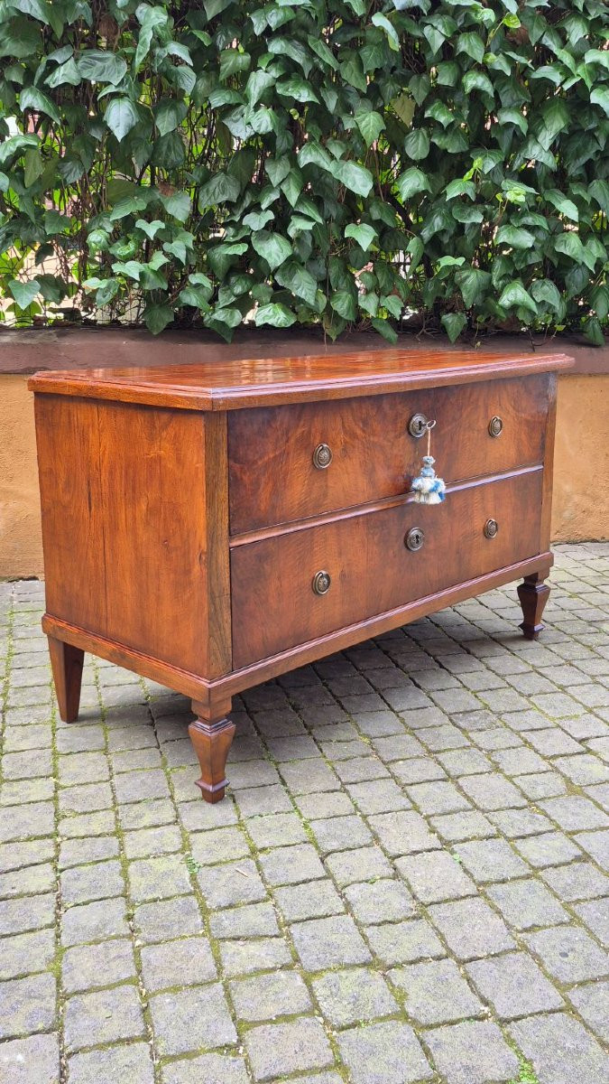 Commode ancienne à deux tiroirs en placage de noyer et de bruyère-photo-3