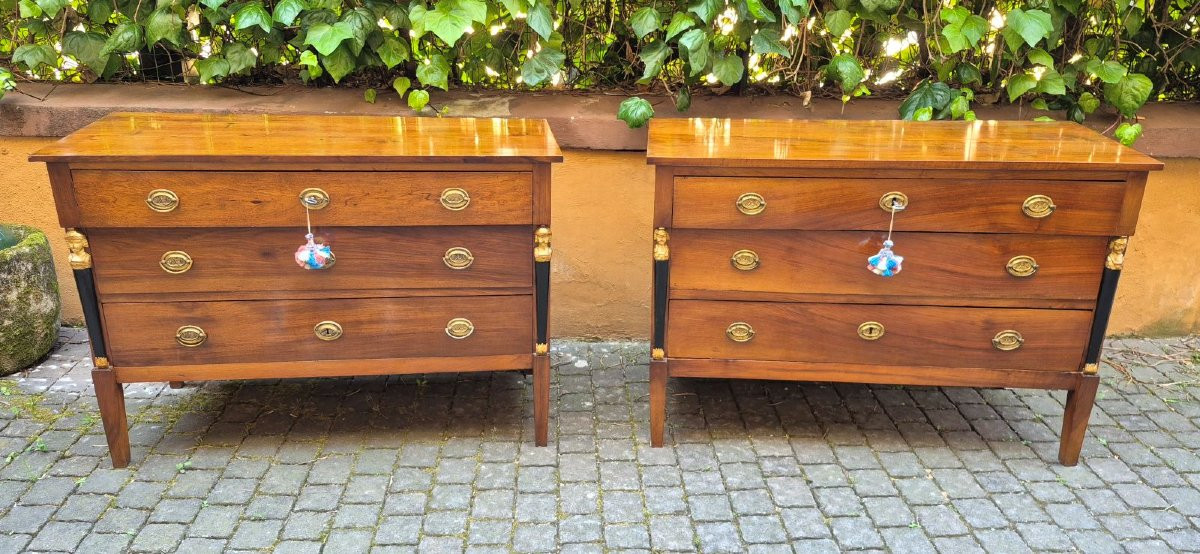 Pair Of Antique Italian Empire-style Chest Of Drawers-photo-2