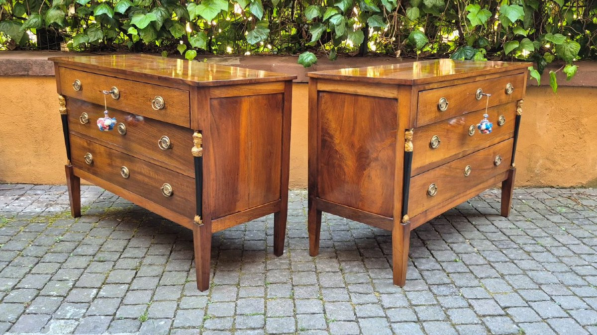 Pair Of Antique Italian Empire-style Chest Of Drawers-photo-3