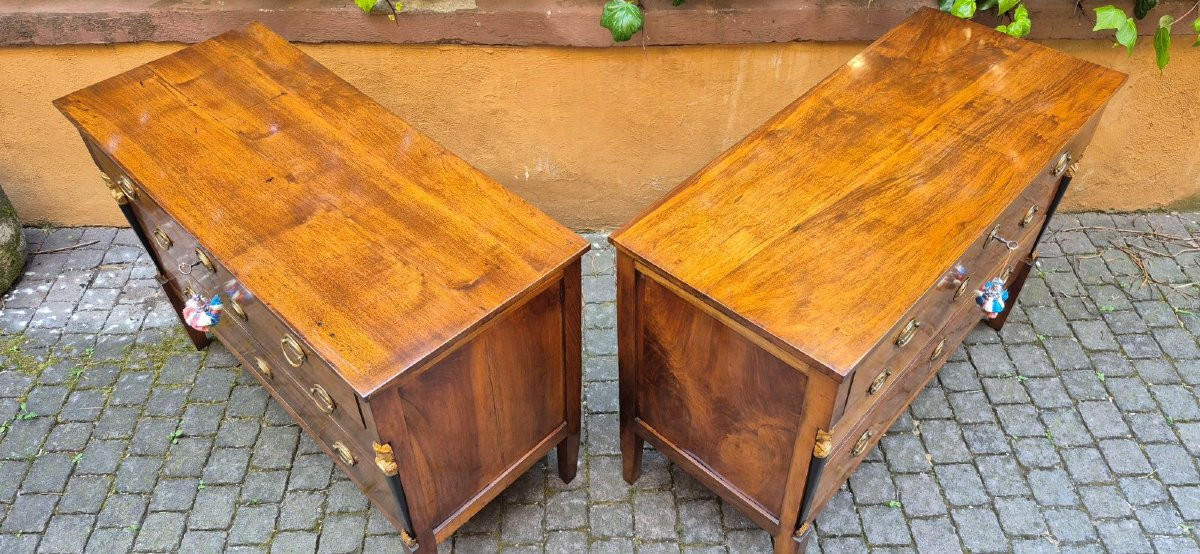 Pair Of Antique Italian Empire-style Chest Of Drawers-photo-4
