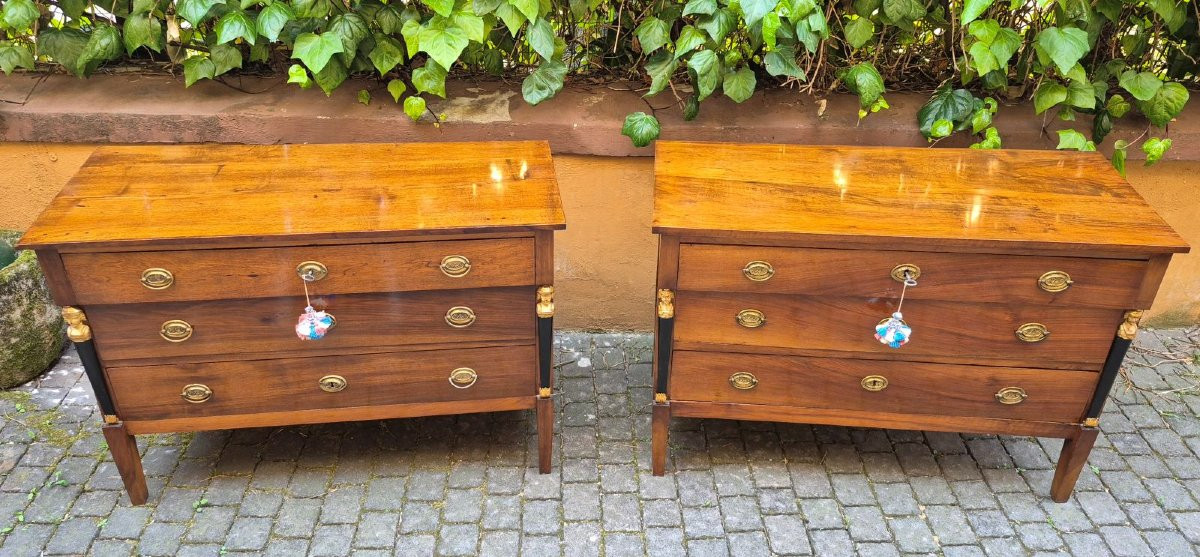 Pair Of Antique Italian Empire-style Chest Of Drawers-photo-2