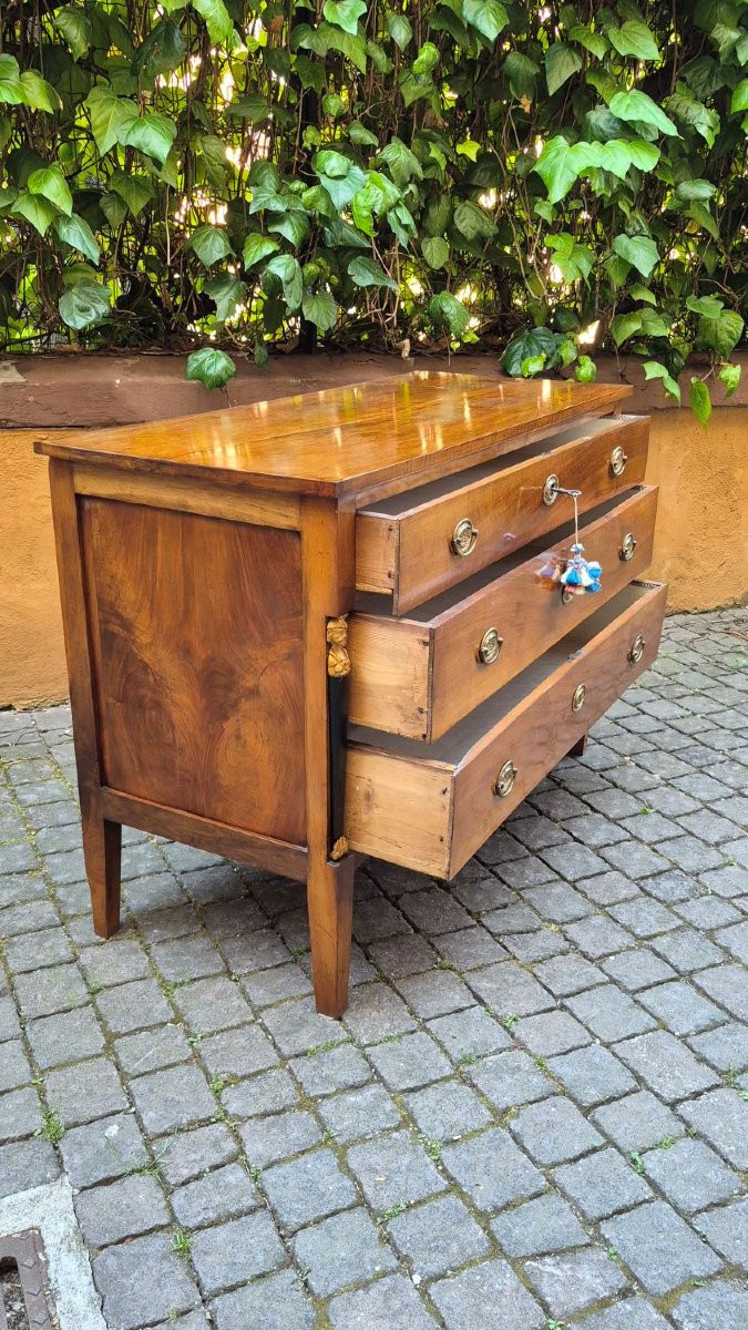 Pair Of Antique Italian Empire-style Chest Of Drawers-photo-3