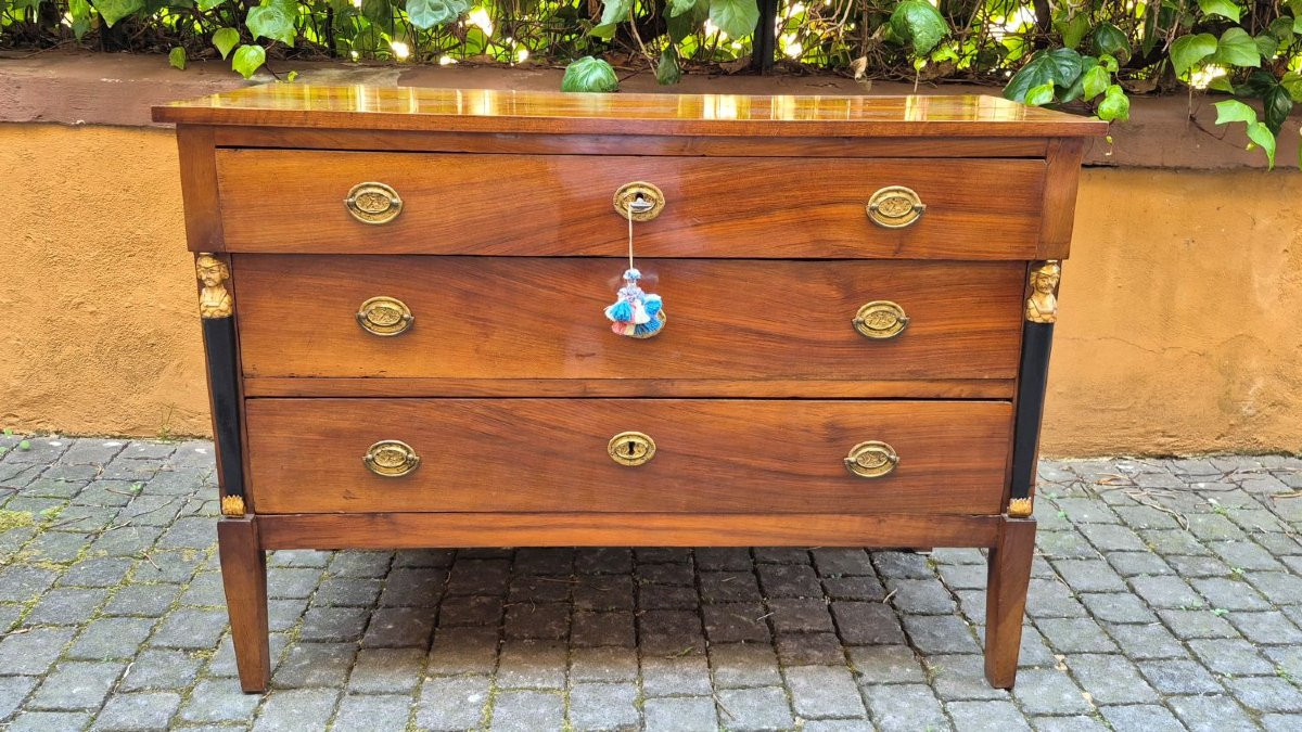 Pair Of Antique Italian Empire-style Chest Of Drawers-photo-5