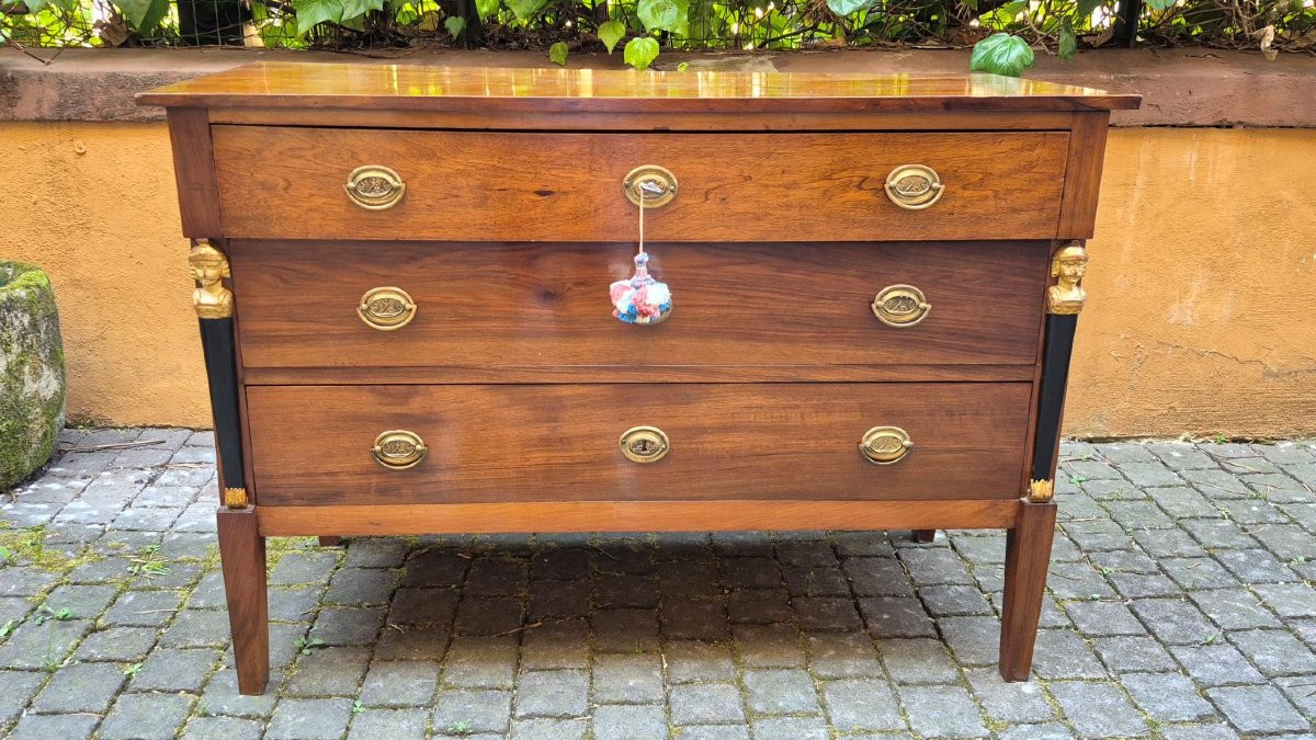Pair Of Antique Italian Empire-style Chest Of Drawers-photo-7