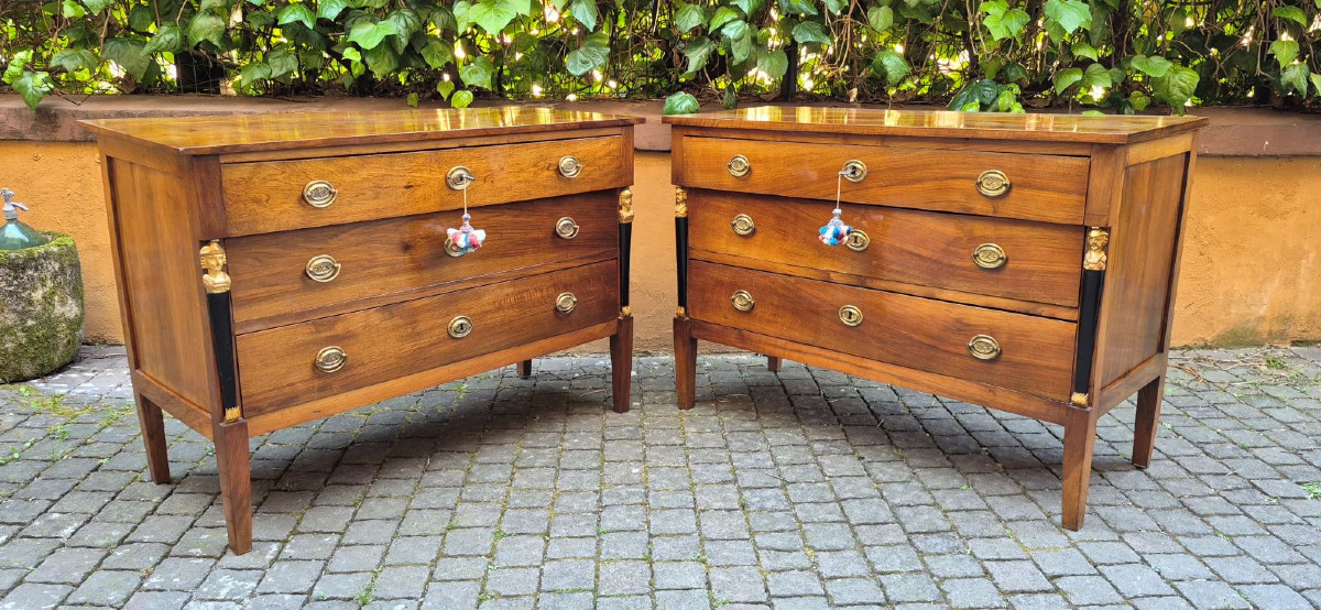 Pair Of Antique Italian Empire-style Chest Of Drawers