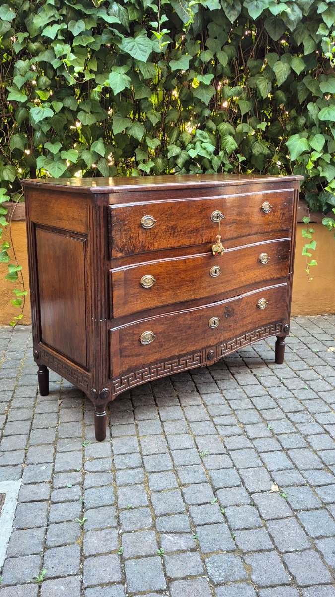 18th-century Antique, Weathered Chest Of Drawers From Emilia-photo-4
