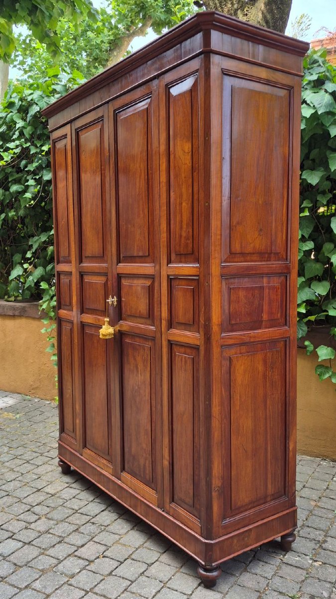 Antique Cherry Wood Paneled Pantry Cabinet-photo-3