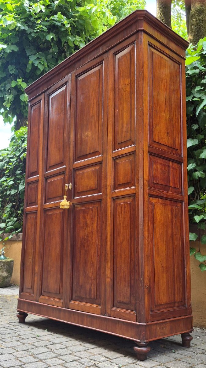 Antique Cherry Wood Paneled Pantry Cabinet-photo-5