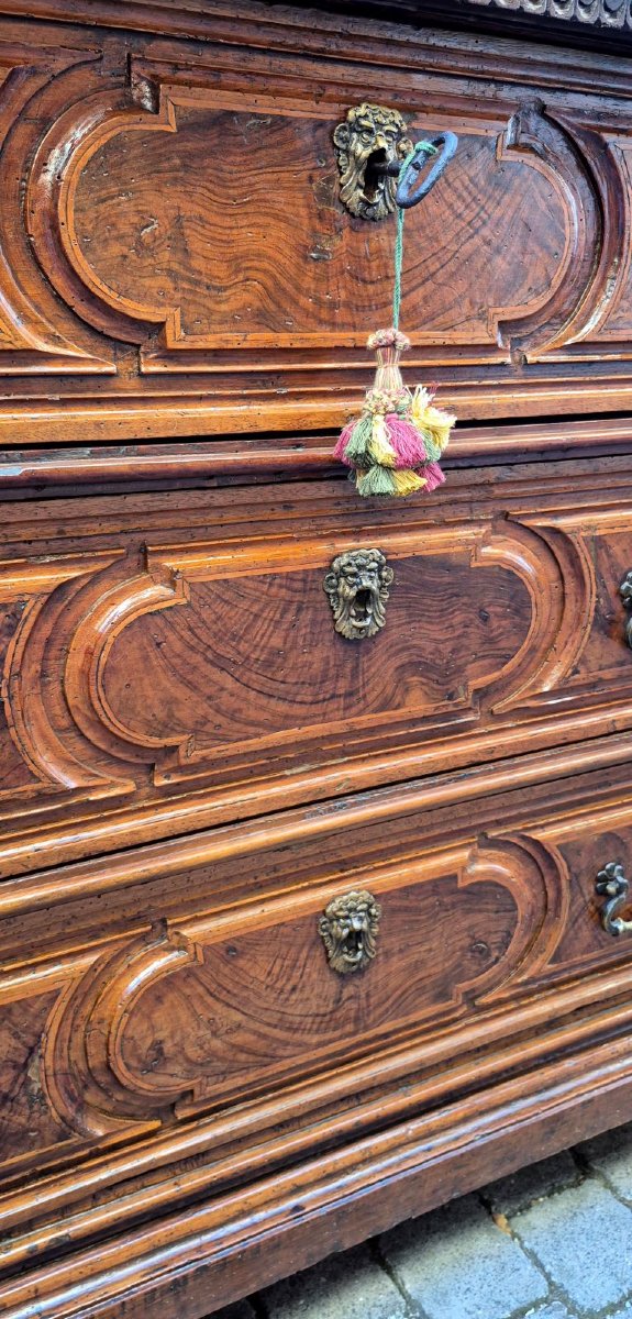 Commode bolonaise ancienne du XVIIe siècle en loupe-photo-3