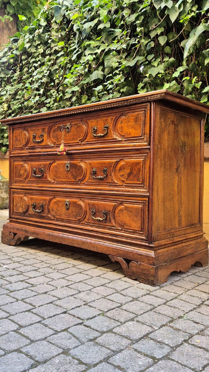 Commode bolonaise ancienne du XVIIe siècle en loupe-photo-4