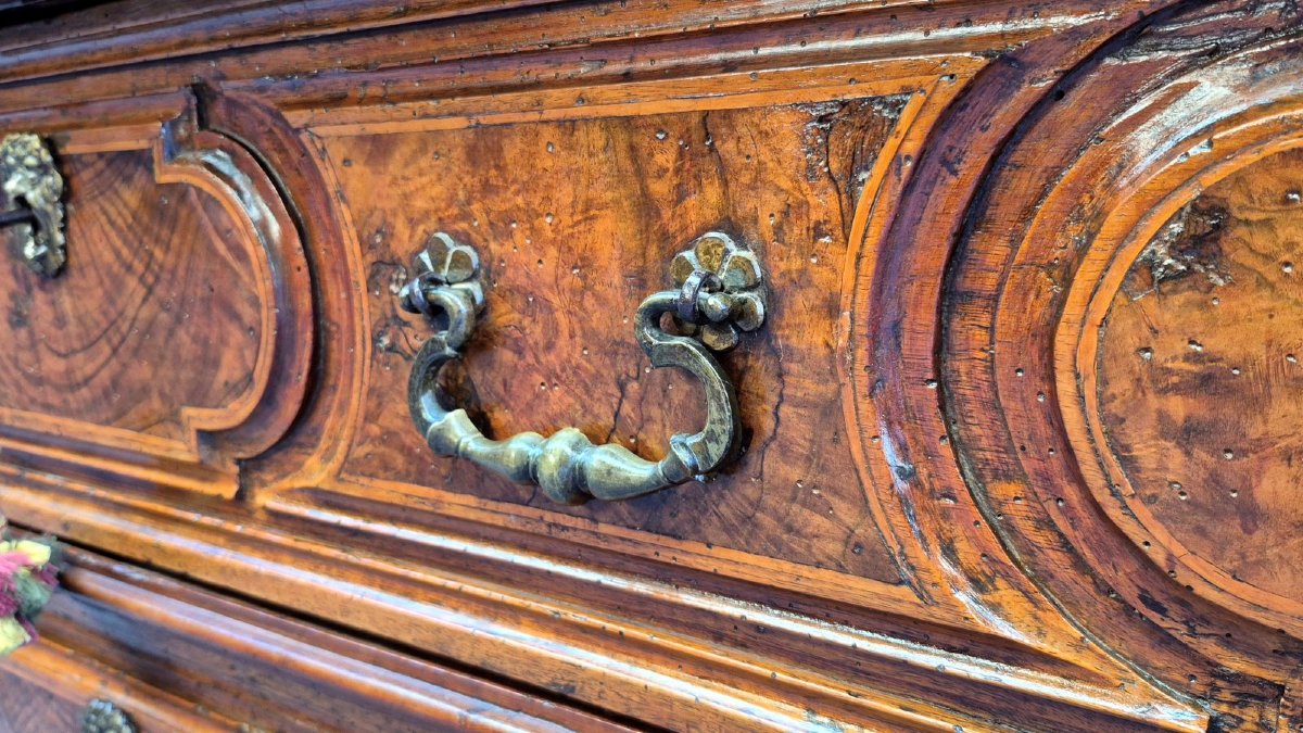 Commode bolonaise ancienne du XVIIe siècle en loupe-photo-1